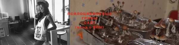 сатива Абаза