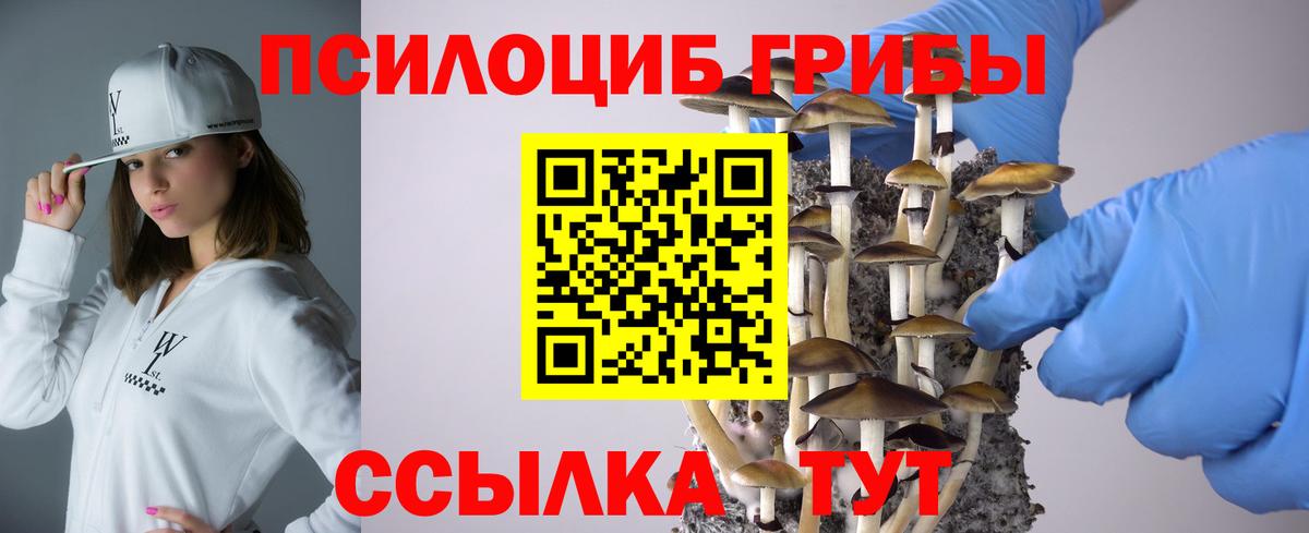 закладки  Вход с VPN  Северодвинск  Галлюциногенные грибы мицелий  Галлюциногенные грибы MAGIC MUSHROOMS 